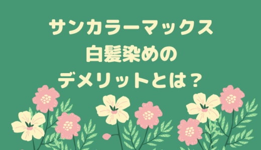 プラージュ美容院って評判どうなの 白髪染めとカットをした感想をレビュー ウマコの美容ブログ